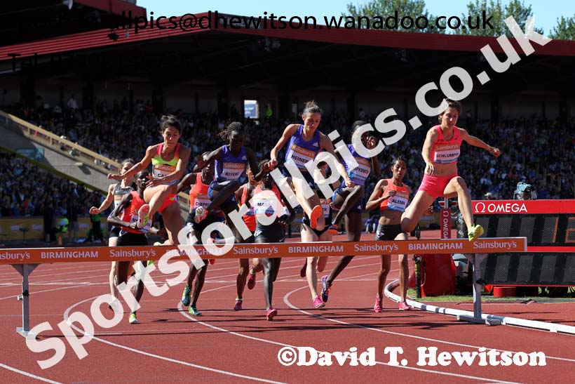 Womens 3000 metres steeplechase, IAAF Diamond League, Birmingham. Photo: David T. Hewitson/Sports for All Pics